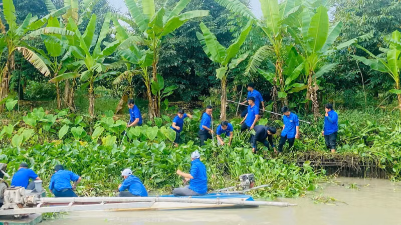 Tuổi trẻ Thới Lai ra quân bảo vệ môi trường. Tuổi trẻ Thới Lai ra quân bảo vệ môi trường.