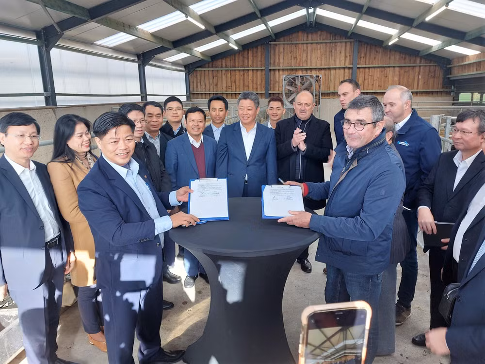 Đại diện Công ty cổ phần giống gia súc Hà Nội và đại diện Công ty Belgimex ký kết biên bản thỏa thuận hợp tác chuyển giao giống bò 3B sang Việt Nam. (Ảnh: HPA)
