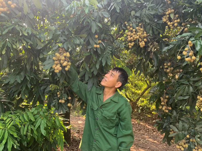 Chính sách tín dụng đóng góp quan trọng trong công cuộc giảm nghèo, bảo đảm an sinh xã hội ở tỉnh Hưng Yên