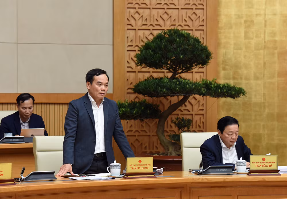 Phó Thủ tướng Trần Lưu Quang phát biểu.