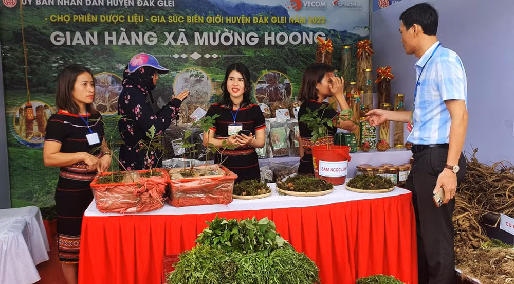 Gian hàng của xã Mường Hoong, huyện Đắk Glei trưng bày nhiều sản phẩm từ dược liệu.