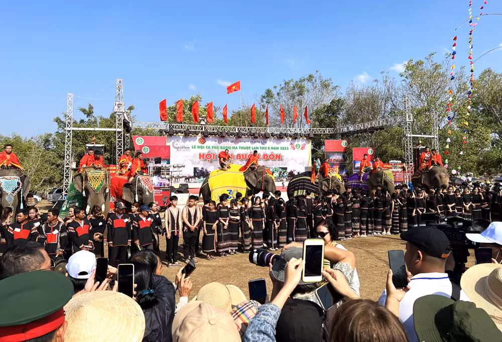 Những chú voi tham gia Hội voi Buôn Đôn năm 2023.