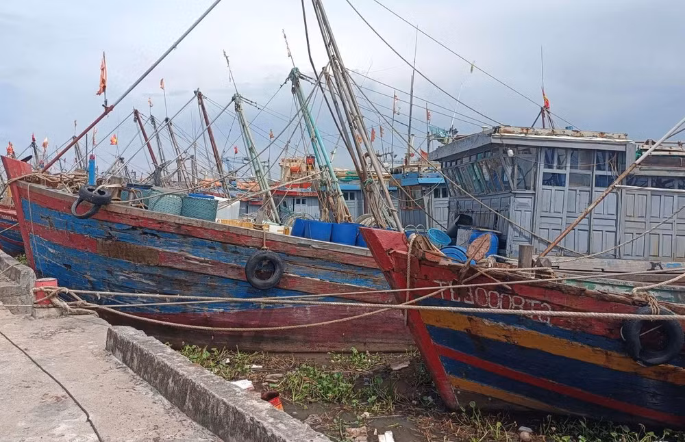 Nhiều tàu, thuyền về tránh trú bão tại cảng cá Tân Sơn, huyện Thái Thụy (tỉnh Thái Bình).