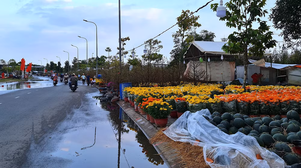 Nước mưa còn ứ đọng nước quanh chợ hoa kiểng thành phố Cà Mau vào chiều 17/1.