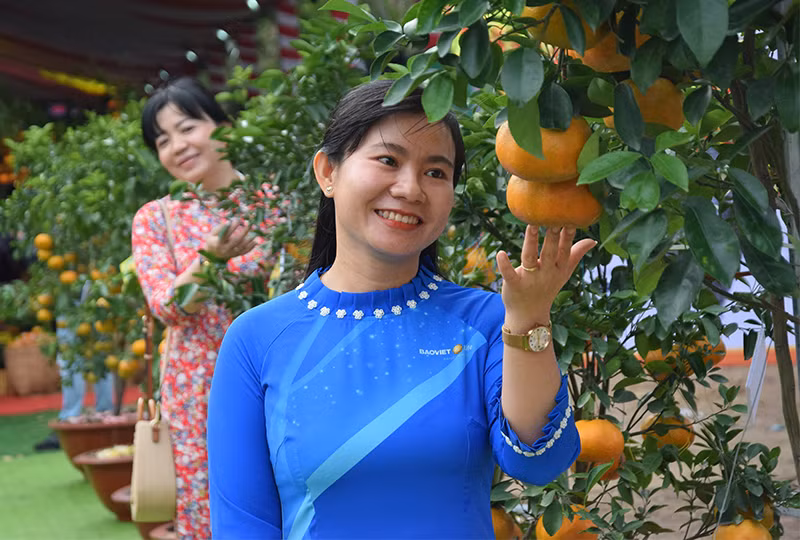 Đại biểu tham quan triển lãm, trưng bày và giới thiệu các sản phẩm từ quýt, các giống quýt và thông tin từ quýt. (Ảnh: HỮU NGHĨA)