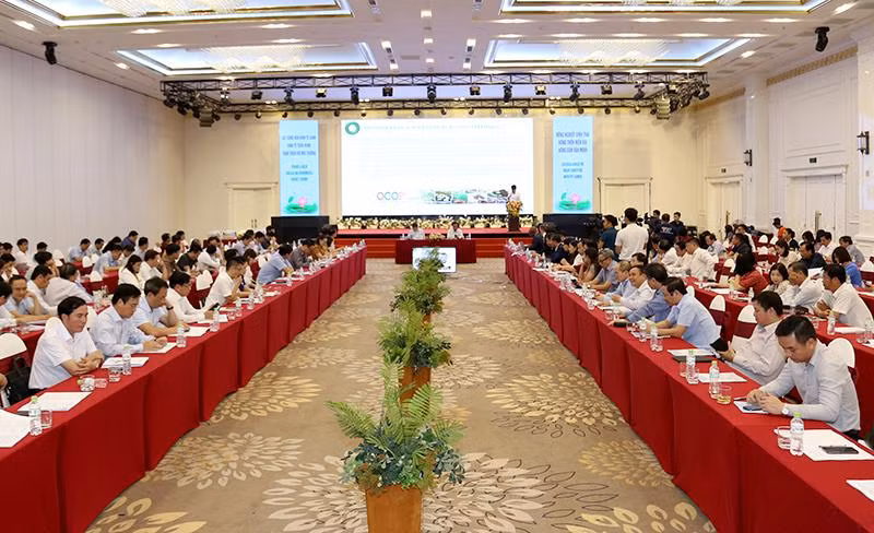 Các đại biểu tham dự hội thảo.