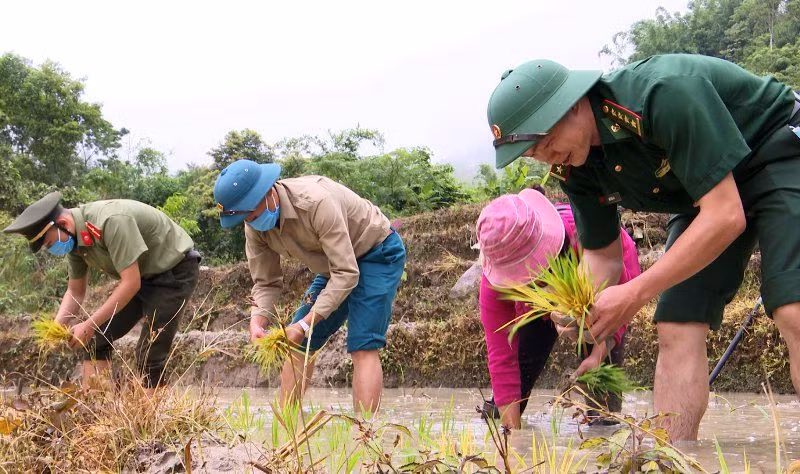 Hơ Văn Xá cùng lực lượng vũ trang ở huyện Mường Lát cấy lúa giúp dân.