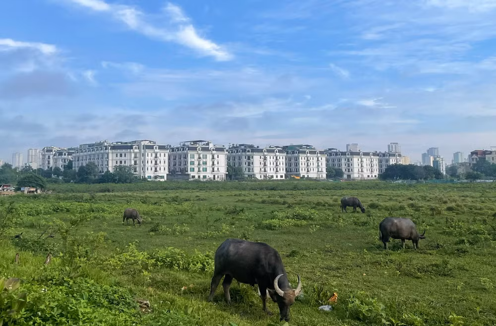 Dự báo khu vực Hà Nội ngày nắng, có nơi nắng nóng. (Ảnh minh họa: Đ.T)