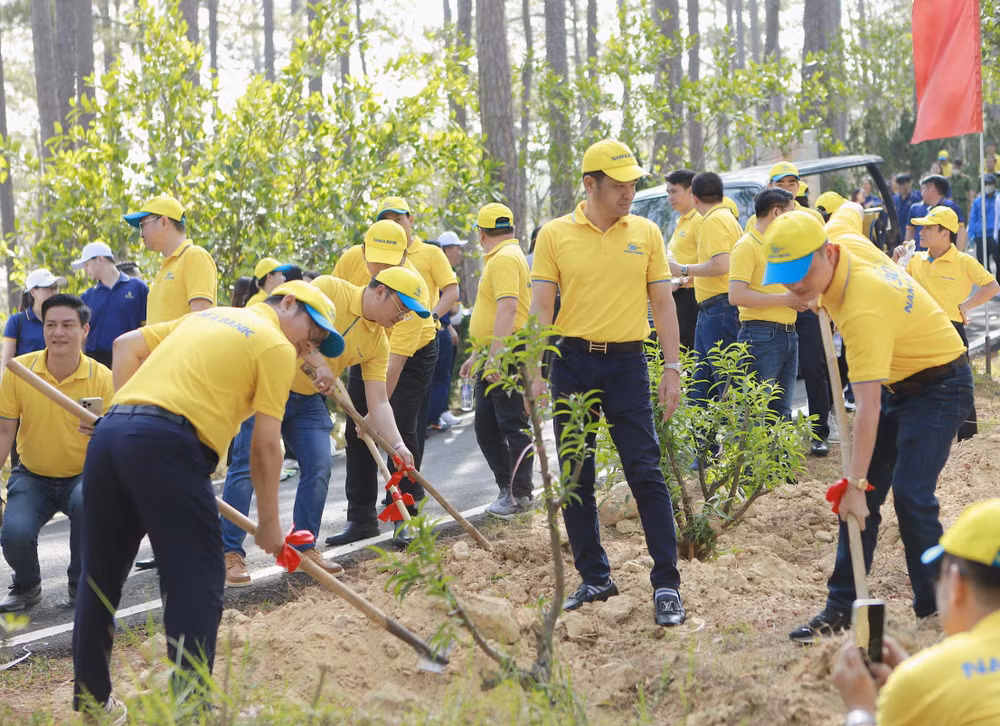 Nhân viên Nam A Bank trồng cây tại quần thể Đền Hùng - khu du lịch thác Prenn, thành phố Đà Lạt, tỉnh Lâm Đồng. Nhân viên Nam A Bank trồng cây tại quần thể Đền Hùng - khu du lịch thác Prenn, thành phố Đà Lạt, tỉnh Lâm Đồng.