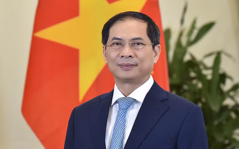 Bộ trưởng Ngoại giao Bùi Thanh Sơn. (Nguồn: TTXVN)