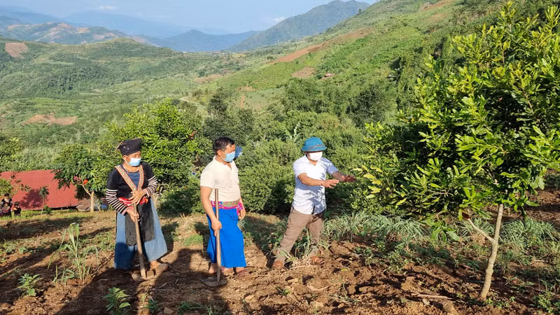 Đảng viên tiên phong tìm hướng đi mới giúp dân phát triển kinh tế, ổn định đời sống. Đảng viên tiên phong tìm hướng đi mới giúp dân phát triển kinh tế, ổn định đời sống.
