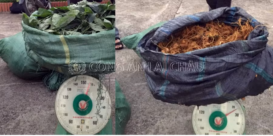 Tang vật của vụ án.