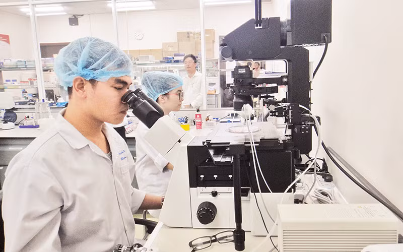 Hoạt động nghiên cứu khoa học của học sinh tại Trường đại học Quốc tế, Đại học Quốc gia Thành phố Hồ Chí Minh.