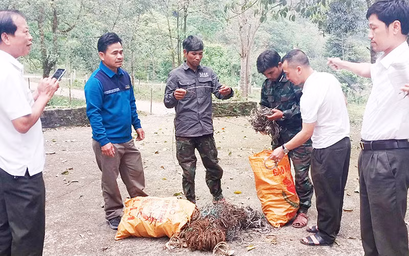 Lực lượng nhận khoán bảo vệ rừng tham gia tháo gỡ bẫy động vật hoang dã tại Khu bảo tồn thiên nhiên Đakrông.