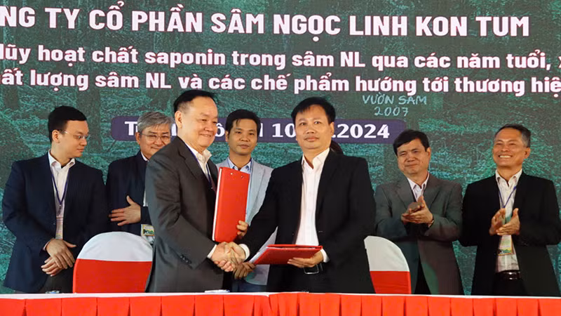 Ký kết ghi nhớ hợp tác nghiên cứu khoa học giữa nhóm nghiên cứu Trường đại học Tôn Đức Thắng với Công ty cổ phần sâm Ngọc Linh Kon Tum.