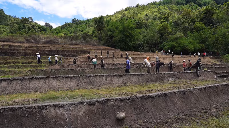 Người dân thôn 3, xã Trà Vinh, huyện Nam Trà My vào mùa trồng lúa.