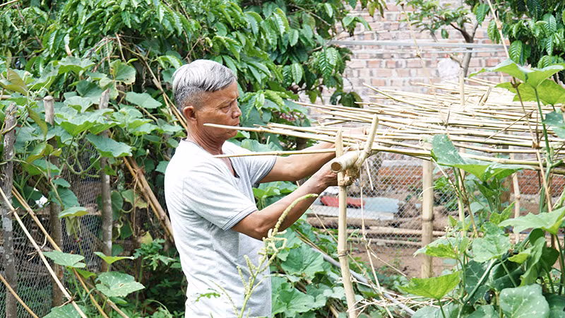 Cấp ủy, chính quyền địa phương vận động người dân tích cực phát triển kinh tế, tránh xa tà đạo Hà Mòn.