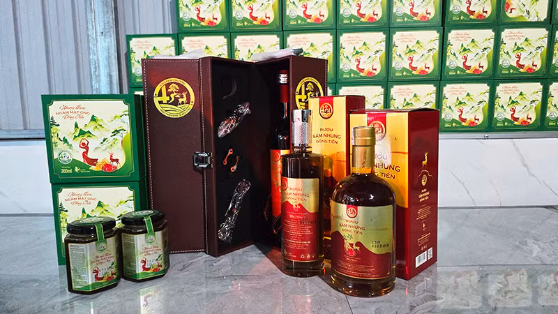 Đa dạng các sản phẩm từ nhung hươu của Hợp tác xã Nông nghiệp Đồng Tiến.