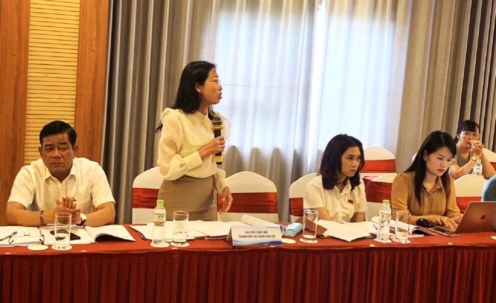 Các đại biểu thảo luận tại phiên họp. Các đại biểu thảo luận tại phiên họp.