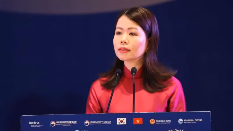 Thứ trưởng Ngoại giao Nguyễn Minh Hằng phát biểu ý kiến tại hội nghị.