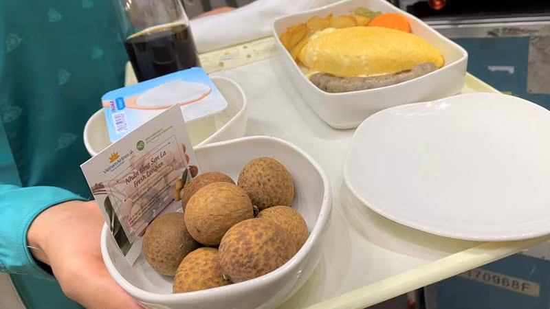 Nhãn lồng Sơn La cấp lên chuyến bay đạt tiêu chuẩn VIETGAP.