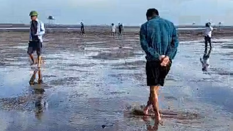 Các cơ quan chức năng của huyện Thái Thụy và lãnh đạo xã Thái Đô (tỉnh Thái Bình) đi kiểm tra ngao chết ngày 11/9. (Ảnh cắt từ clip)