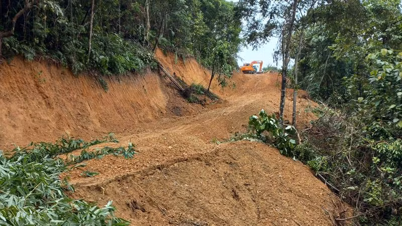Mở đường lâm nghiệp tại xã Giáo Hiệu, huyện Pác Nặm.