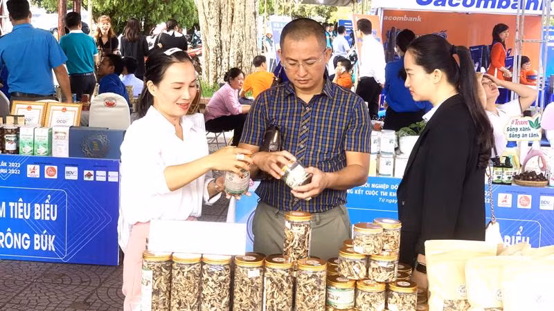 Du khách tham quan gian hàng trưng bày sản phẩm khởi nghiệp của các bạn trẻ trong tỉnh tại Ngày hội Khởi nghiệp đổi mới sáng tạo tỉnh Đắk Lắk năm 2022.