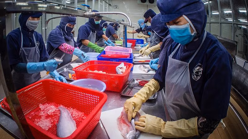 Lao động có việc làm ổn định ở Khu công nghiệp Sông Hậu, huyện Châu Thành-Hậu Giang.