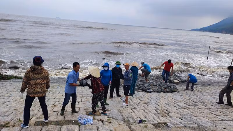 Ngay trong sáng 26/9, hơn 200 cán bộ, người dân địa phương đã được huy động để gia cố kè biển Cẩm Nhượng. 