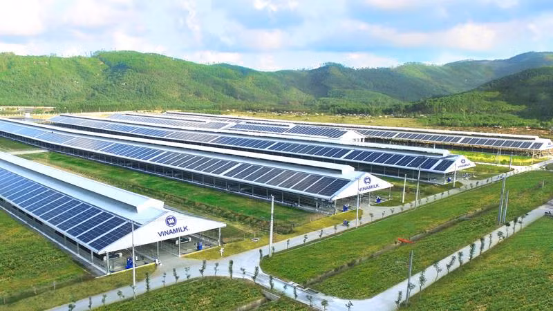 Toàn bộ trang trại tại Vinamilk sử dụng năng lượng mặt trời nhằm giảm thiểu khí nhà kính.