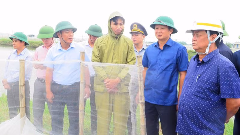 Bộ trưởng Lê Minh Hoan kiểm tra khu nuôi trồng thủy sản tại thôn 14, xã Quảng Công. Bộ trưởng Lê Minh Hoan kiểm tra khu nuôi trồng thủy sản tại thôn 14, xã Quảng Công.