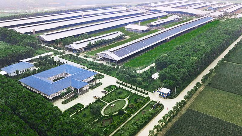 Phát triển bền vững đã được Vinamilk đưa vào chiến lược trọng yếu, thể hiện trong việc Vinamilk đã mở rộng và xây dựng mới hệ thống trang trại bò sữa công nghệ cao trong suốt gần 20 năm qua.