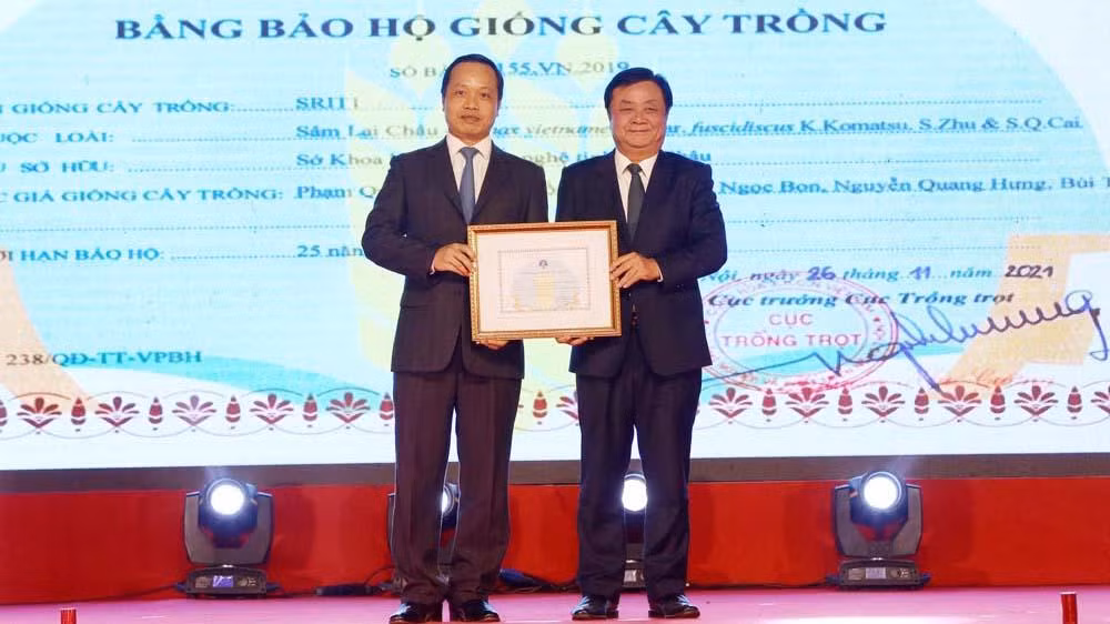 Bộ trưởng Nông nghiệp và Phát triển nông thôn trao Bằng bảo hộ giống cây trồng đối với cây sâm Lai Châu cho tỉnh Lai Châu.