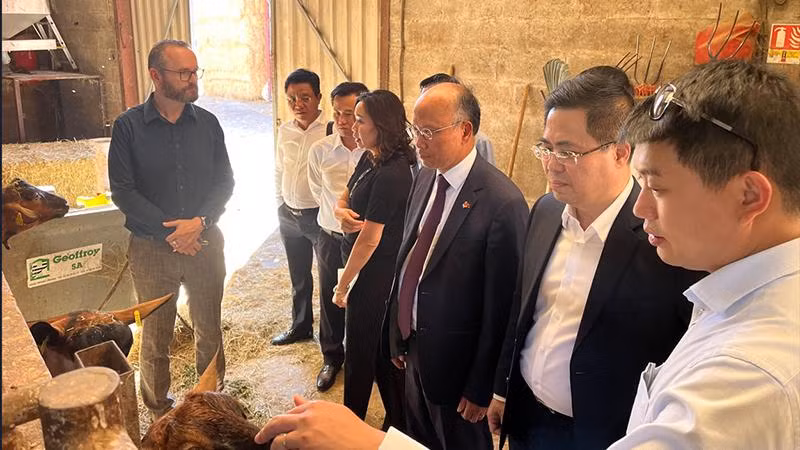 Đoàn Bộ Khoa học và Công nghệ thăm Trường đào tạo dạy nghề Davayé ngoại ô thành phố Mâcon. Tham dự có Đại sứ Việt Nam tại Pháp Đinh Toàn Thắng. Đoàn Bộ Khoa học và Công nghệ thăm Trường đào tạo dạy nghề Davayé ngoại ô thành phố Mâcon. Tham dự có Đại sứ Việt Nam tại Pháp Đinh Toàn Thắng.