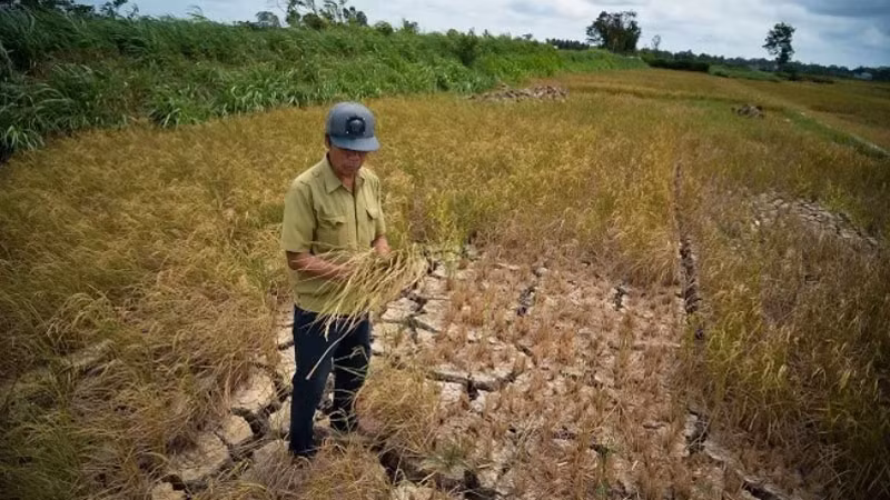 Ảnh minh họa.