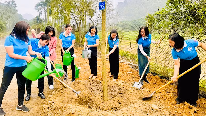 Phụ nữ thành phố Hải Phòng tổ chức trồng cây.