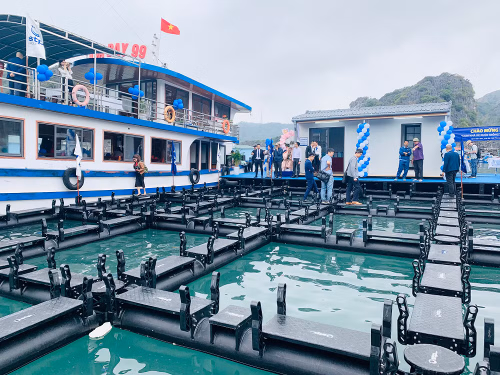 Cụm lồng bè nuôi trồng thủy sản thiết kế kiểu mới vừa hạ thủy trên biển Cát Bà.