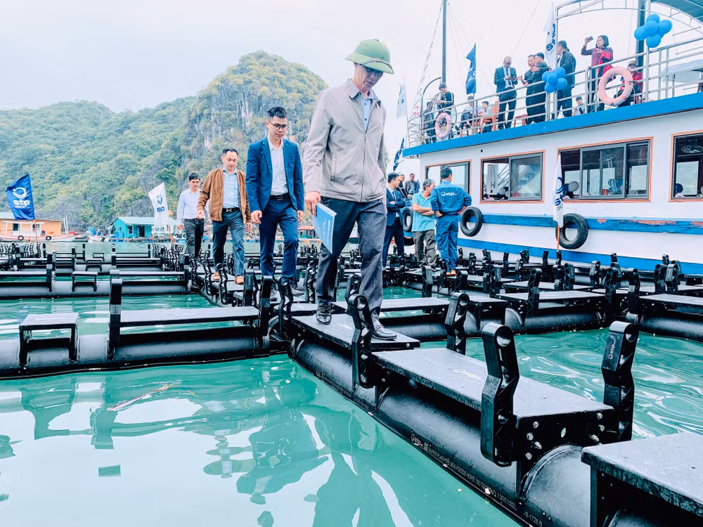 Cụm lồng bè nuôi trồng thủy sản mới được kỳ vọng sẽ mang lại hiệu quả kinh tế và môi trường. Cụm lồng bè nuôi trồng thủy sản mới được kỳ vọng sẽ mang lại hiệu quả kinh tế và môi trường.