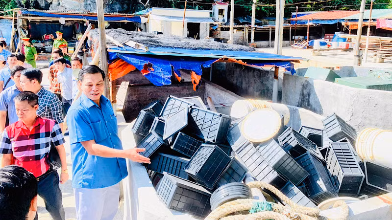 Thị sát thực tế tại địa điểm các hộ dân sản xuất kinh doanh.