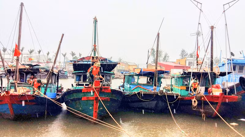 Biên phòng Hải Phòng giúp ngư dân phòng chống bão. Biên phòng Hải Phòng giúp ngư dân phòng chống bão.