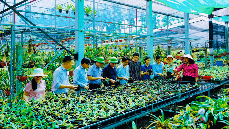 Sản xuất nông nghiệp cũng chuyển dịch mạnh mẽ sang cây trồng ứng dụng công nghệ và có giá trị kinh tế cao. Sản xuất nông nghiệp cũng chuyển dịch mạnh mẽ sang cây trồng ứng dụng công nghệ và có giá trị kinh tế cao.