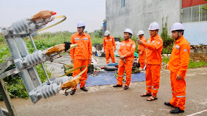 Công ty Điện lực Hải Phòng chủ động nâng cấp hệ thống lưới điện từ sớm.