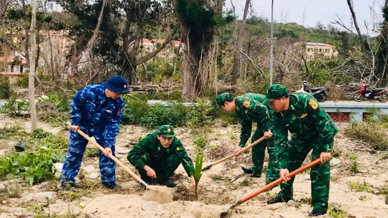 Các chiến sĩ lực lượng vũ trang tham gia trồng cây trên đảo tiền tiêu Bạch Long Vĩ. (Ảnh: SƠN HÀ)