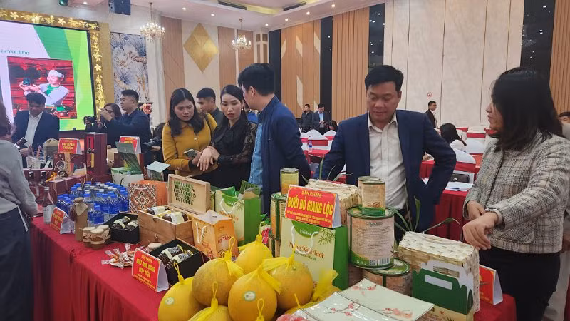 Các sản phẩm tại Hội nghị đánh giá, phân hạng OCOP 4 sao cấp tỉnh năm 2023.