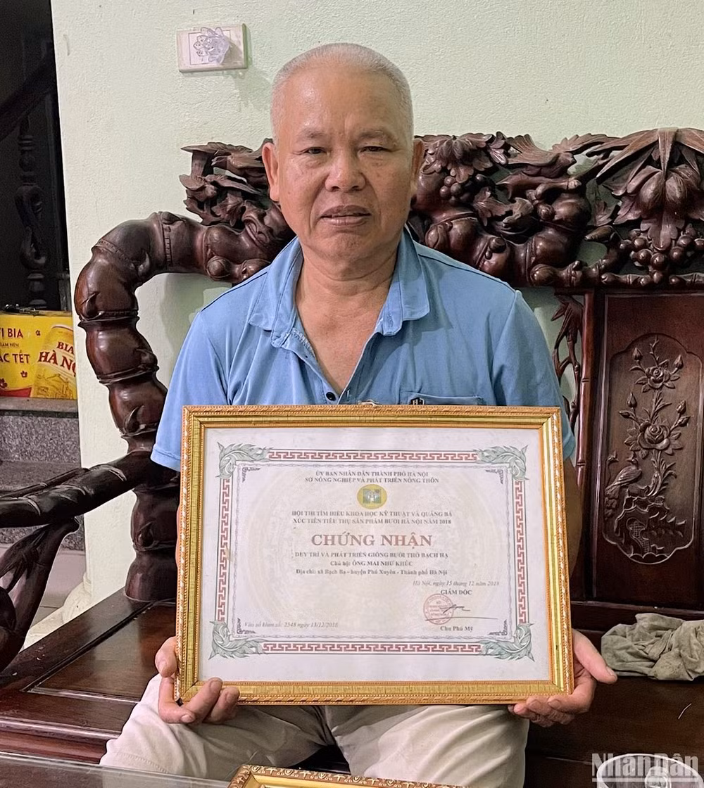 Ông Mai Như Khúc được Sở Nông nghiệp thành phố Hà Nội trao bằng chứng nhận có công trong việc duy trì và phát triển giống bưởi thồ đặc sản của địa phương.
