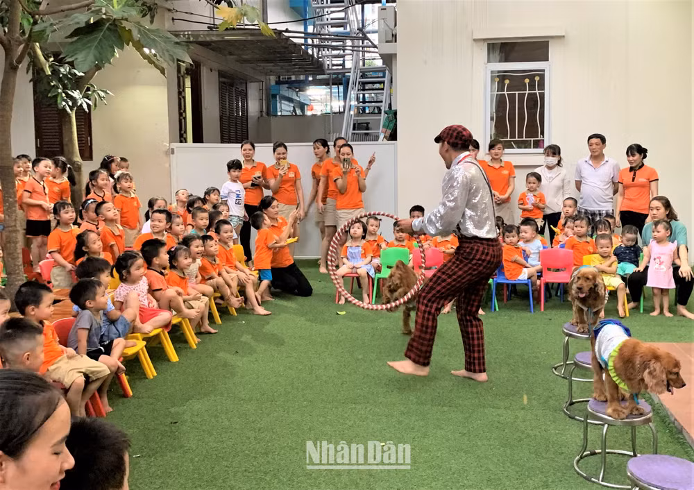 (Ảnh minh họa: HỮU HƯNG)