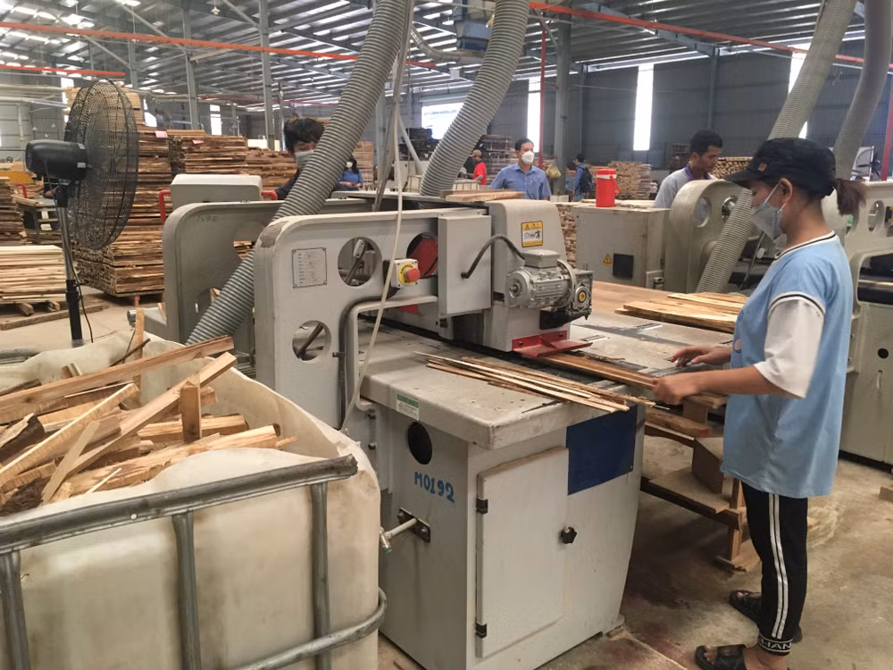 Đầu tư thiết bị để phát triển công nghiệp chế biến gỗ hiện đại. (Ảnh: Dũng Minh)