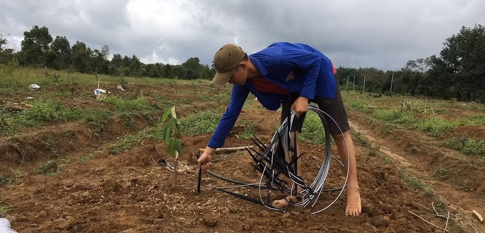 Lắp đặt hệ thống tưới nước tiết kiệm giúp cải thiện năng suất cây trồng.