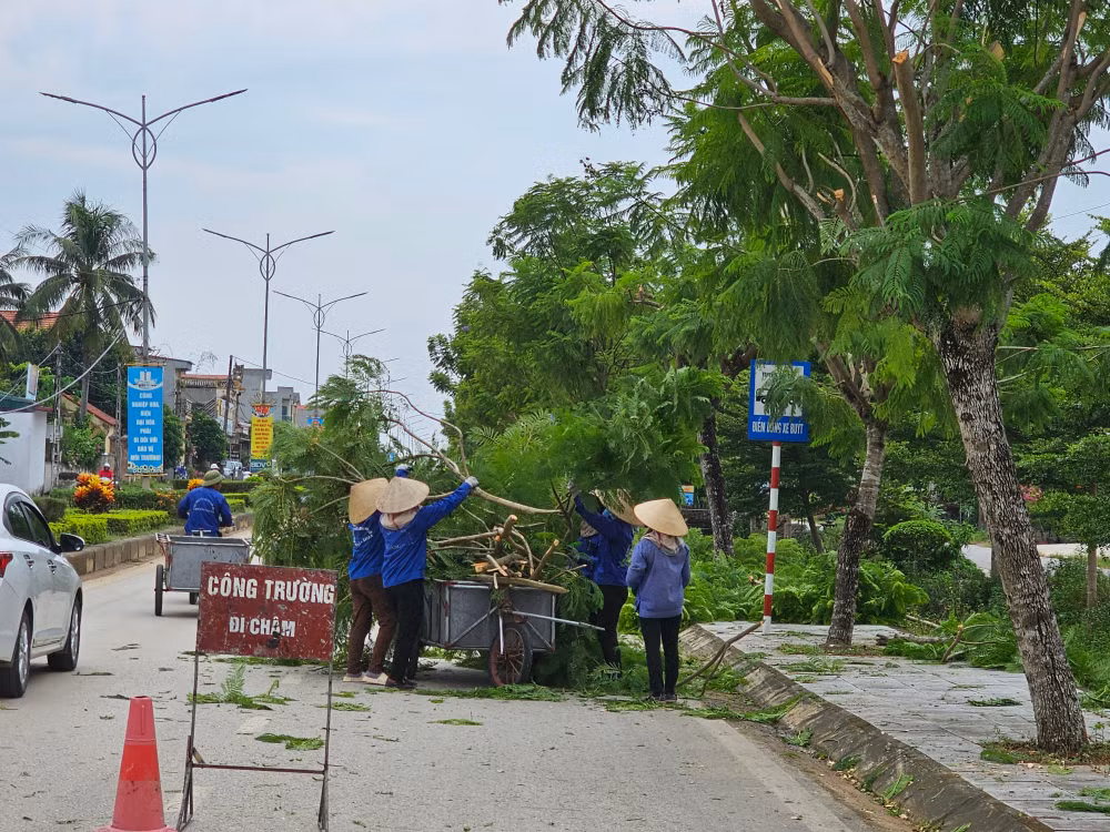 Công nhân Công ty môi trường chủ động cắt tỉa, thu gom cành cây. Công nhân Công ty môi trường chủ động cắt tỉa, thu gom cành cây.